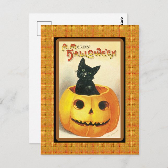 Vintage Black Cat Pumpkin Halloween Postcard (Front/Back)
