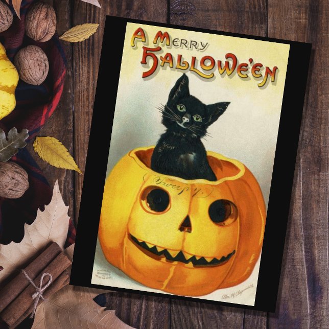 Vintage Black Halloween Cat In A Pumpkin Postcard (Creator Uploaded)