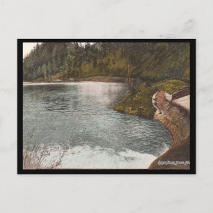 Vintage Black Hills Postcard