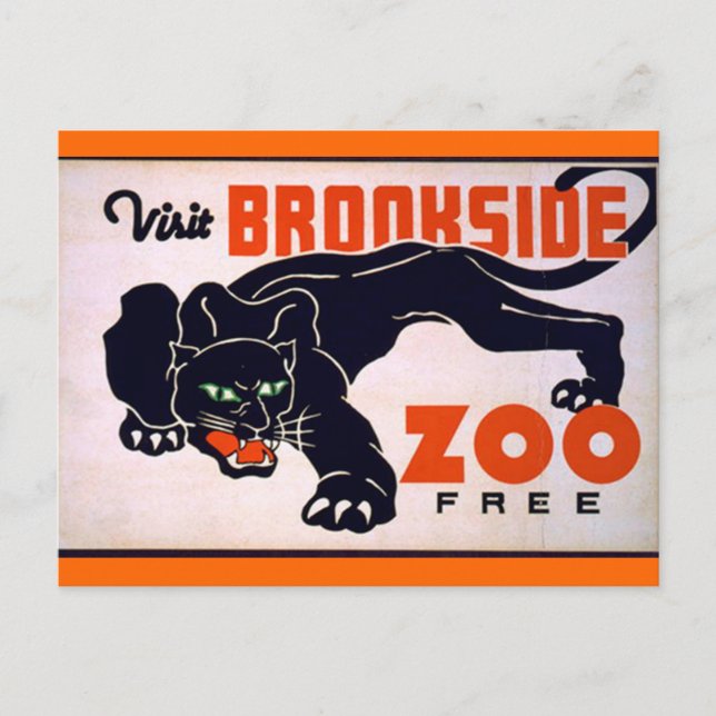 Vintage Black Panther postcard (Front)