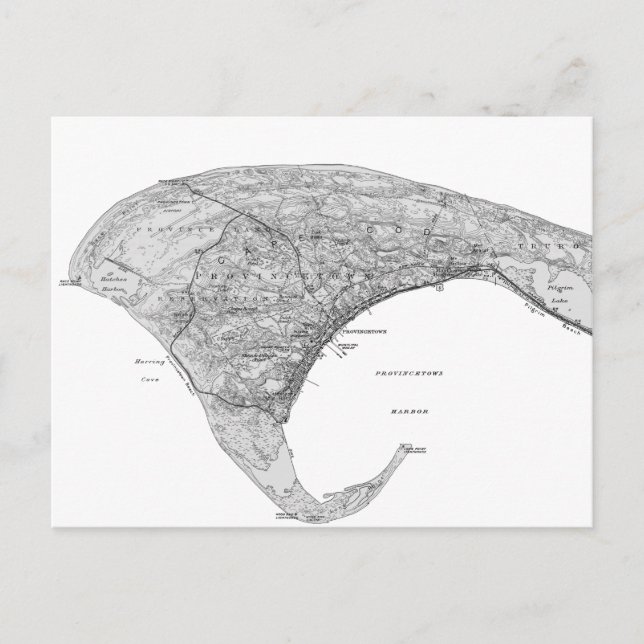 Vintage Black & White Provincetown Postcard (Front)