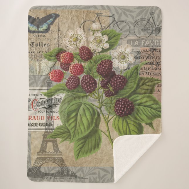 Vintage Blackberries & French Ephemera Art Collage Sherpa Blanket (Front)