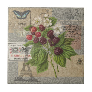 Vintage Blackberries & French Ephemera Art Collage Tile