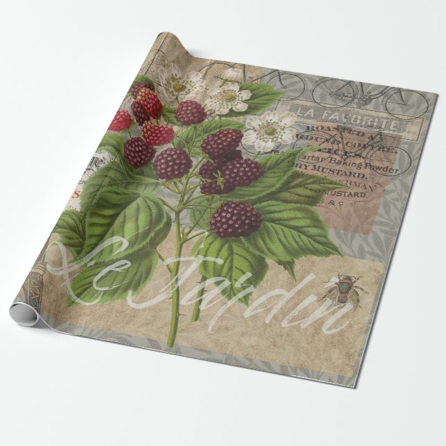Vintage Blackberries & French Ephemera Art Collage Wrapping Paper (Unrolled)