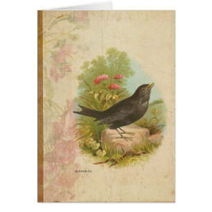 Vintage Blackbird