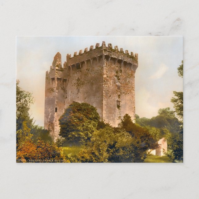 Vintage Blarney Castle Ireland Postcard (Front)