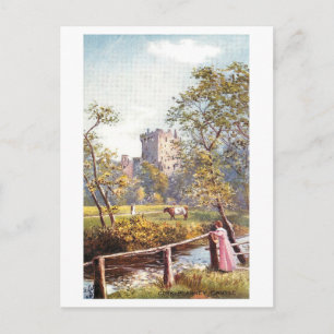 Vintage Blarney Castle, Ireland, Postcard