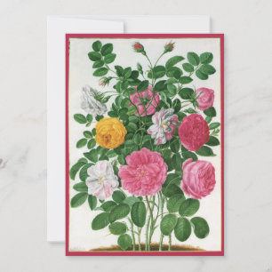 Vintage Blooming Flowers, Spring Garden Roses