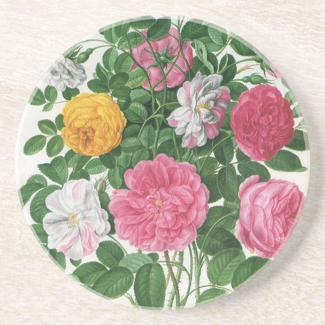 Vintage Blooming Flowers, Spring Garden Roses Coaster (Front)