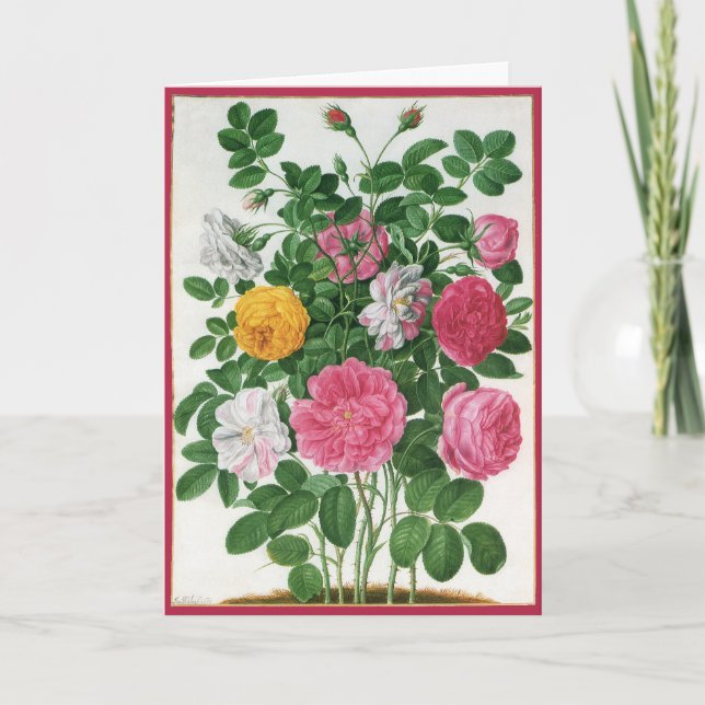 Vintage Blooming Flowers, Spring Garden Roses Holiday Card (Front)