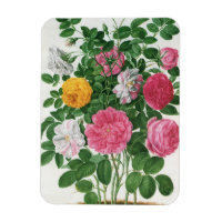 Vintage Blooming Flowers, Spring Garden Roses