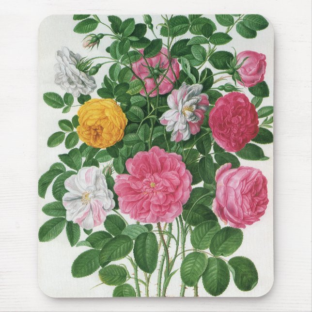 Vintage Blooming Flowers, Spring Garden Roses Mouse Pad (Front)