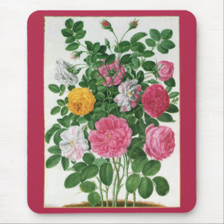 Vintage Blooming Flowers, Spring Garden Roses Mouse Pad