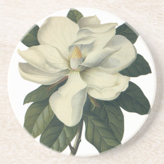 Vintage Blooming White Magnolia Blossom Flowers Coaster