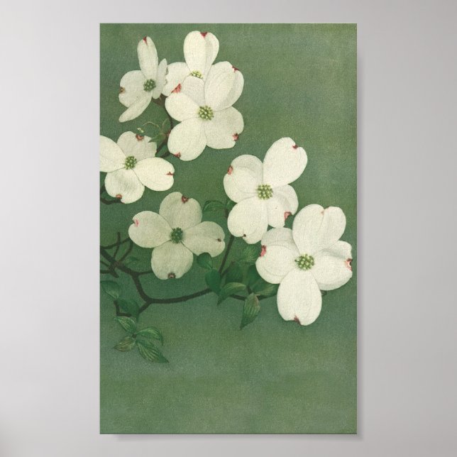 Vintage Blossom Poster (Front)