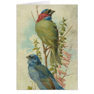 Vintage Blue and Green Birds All Ocassion