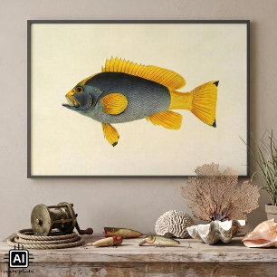 Vintage Blue and Yellow Grouper Fish, Marine Life Poster