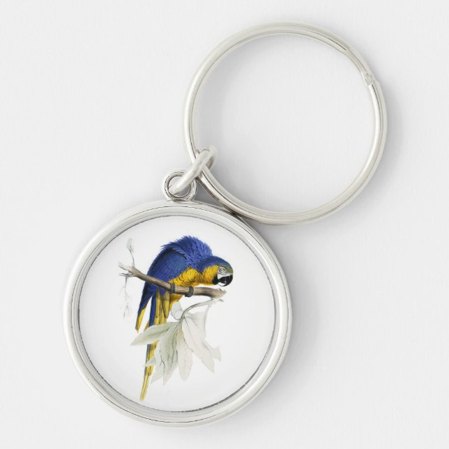 Vintage Blue And Yellow Macaw Parrot Key Ring (Front)