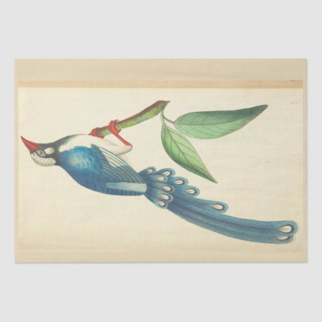 Vintage Blue Bird Ephemera Decoupage  Tissue Paper (Front)