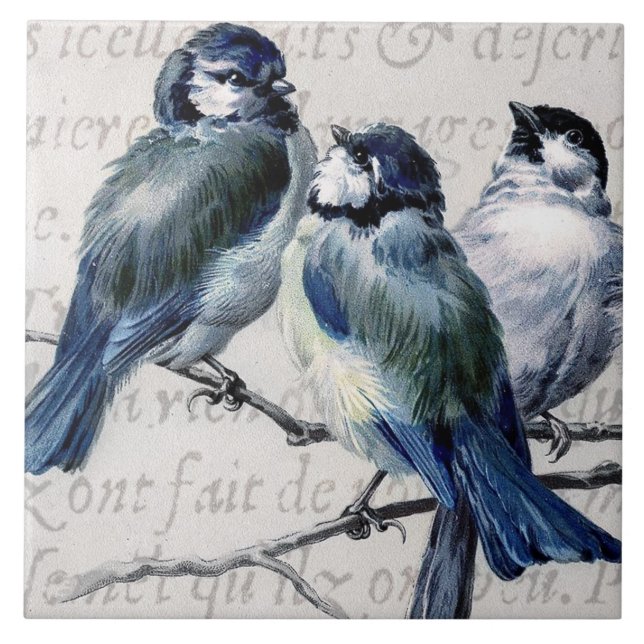 Vintage Blue Birds Collage - Customised Bluebirds Tile (Front)