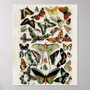 Vintage Blue Butterflies Wall Art