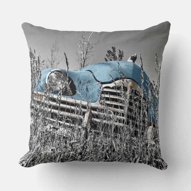 vintage blue car cushion (Front)