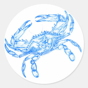 Vintage  blue  crab classic round sticker