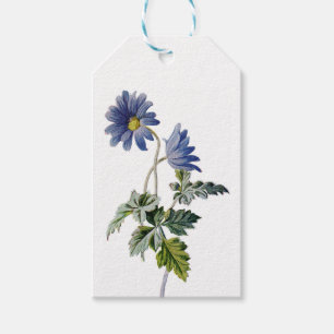 Vintage Blue Daisy Flowers Watercolor Daisies Part Gift Tags