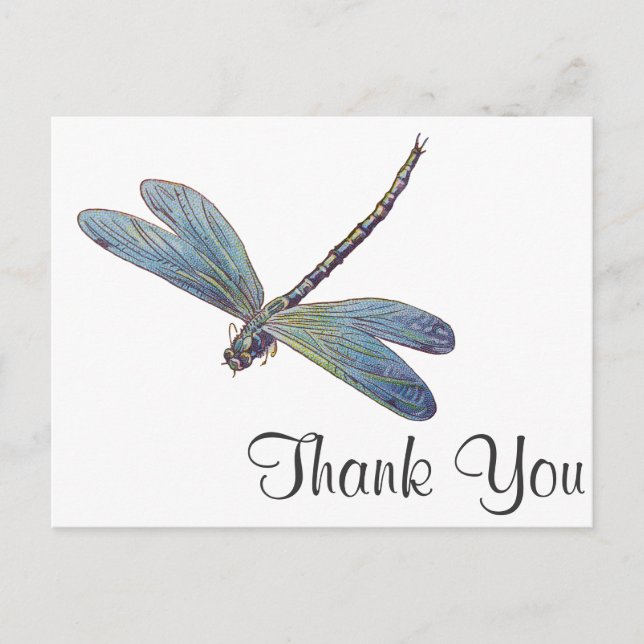 Vintage Blue Dragonfly Postcard (Front)