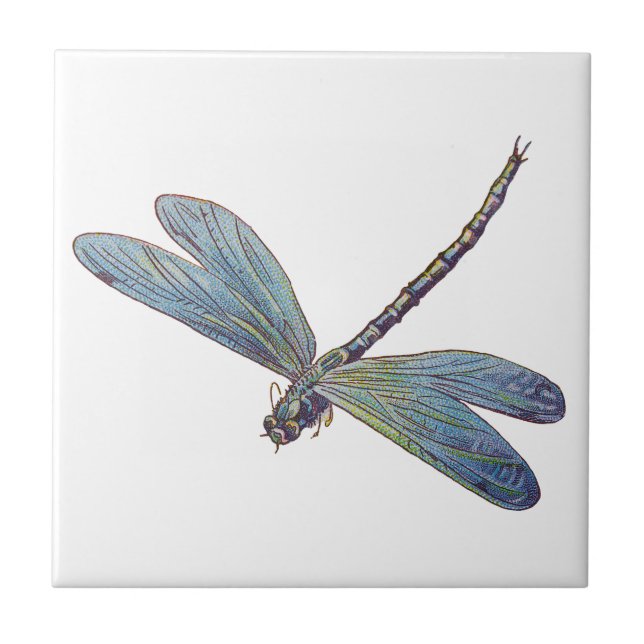 Vintage Blue Dragonfly Tile (Front)