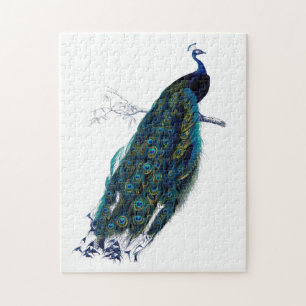 Vintage Blue Elegant Colorful Peacock Jigsaw Puzzle