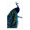Vintage Blue Elegant Colourful Peacock