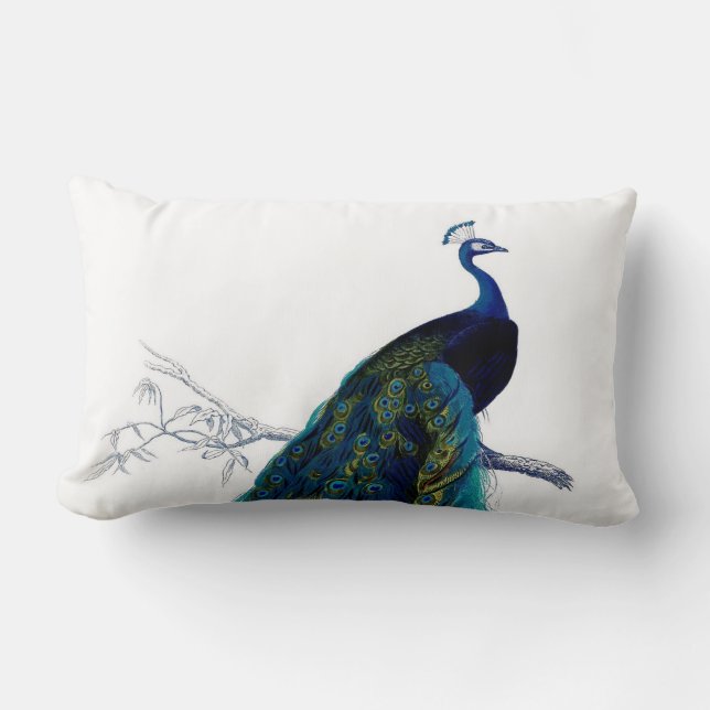 Vintage Blue Elegant Colourful Peacock Lumbar Cushion (Front)