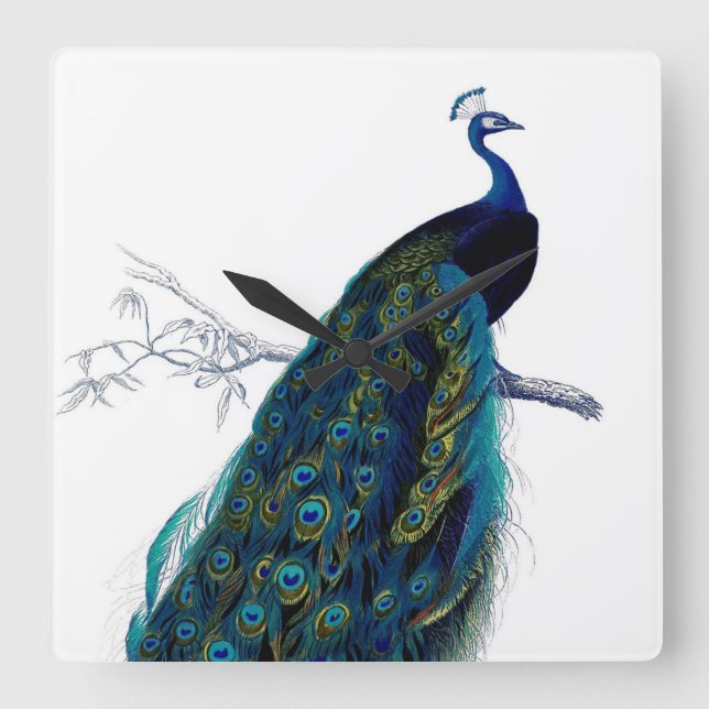 Vintage Blue Elegant Colourful Peacock Square Wall Clock (Front)