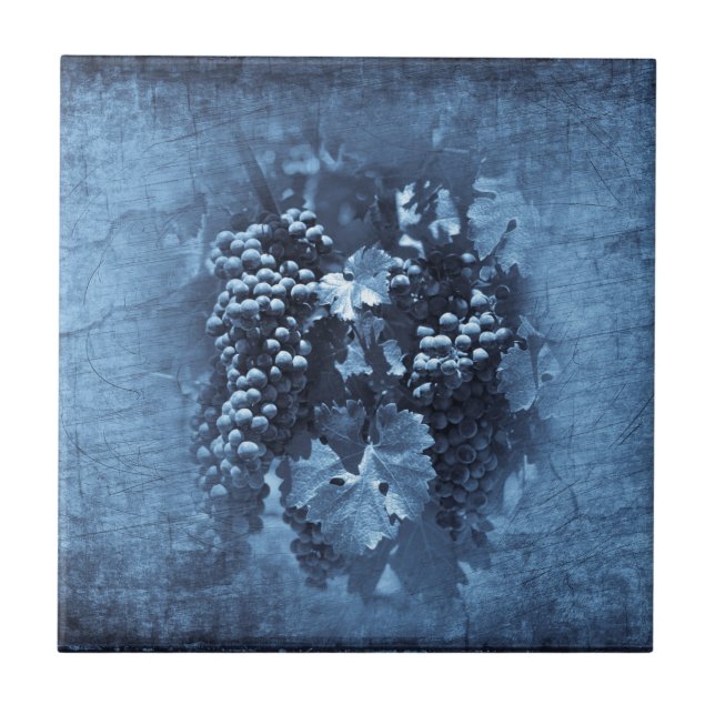 Vintage Blue Grapes Plaster Tile (Front)