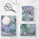 Vintage Blue Hydrangea Floral Garden Wrapping Paper Sheet<br><div class="desc">These vintage floral wrapping paper sheets feature a garden of lavender and blue hydrangea flowers. Use for gift wrap or for decoupage projects. Designed by world renowned artist ©Tim Coffey.</div>