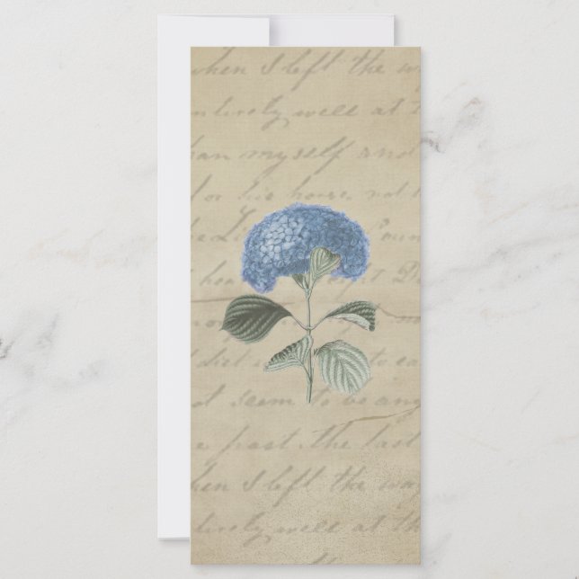 Vintage Blue Hydrangea with Antique Calligraphy (Front)