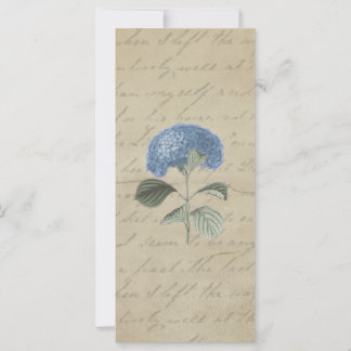 Vintage Blue Hydrangea with Antique Calligraphy