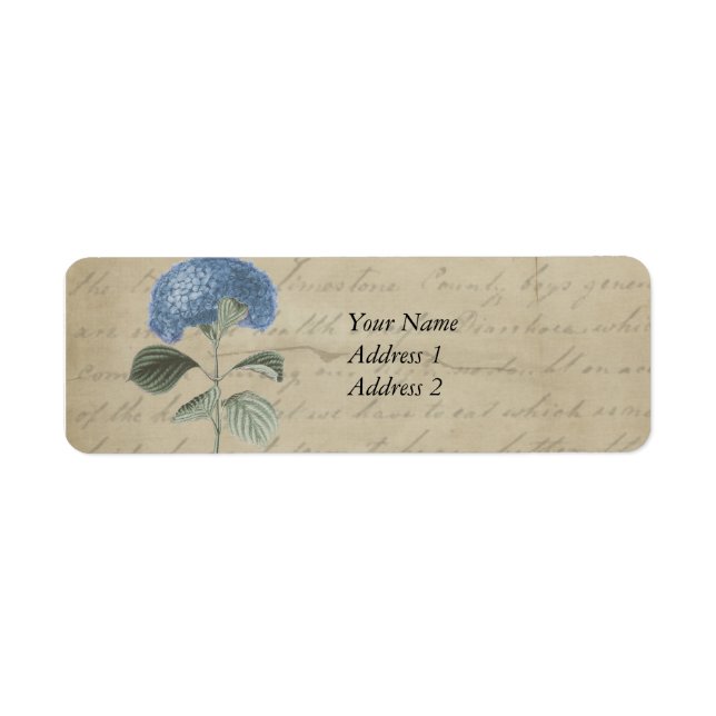 Vintage Blue Hydrangea with Antique Calligraphy (Front)