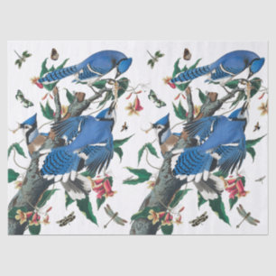 Vintage Blue Jay Birds Collage Pattern.  Tissue Paper