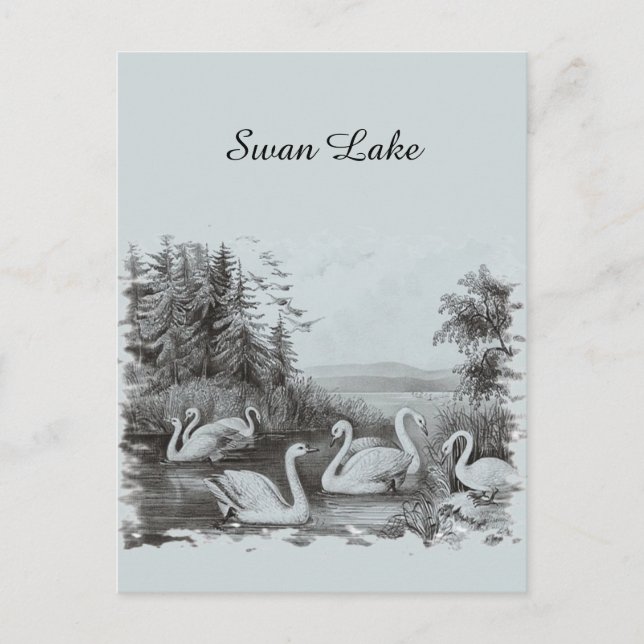 Vintage Blue Swan Lake Postcard (Front)