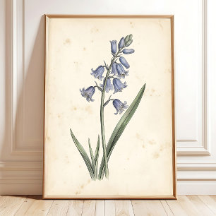 Vintage Bluebell Floral Canvas Wall Art