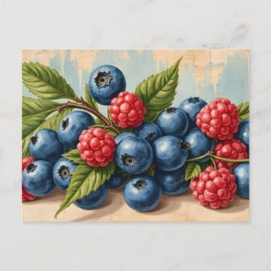 Vintage Blueberries and Raspberries  Postcard