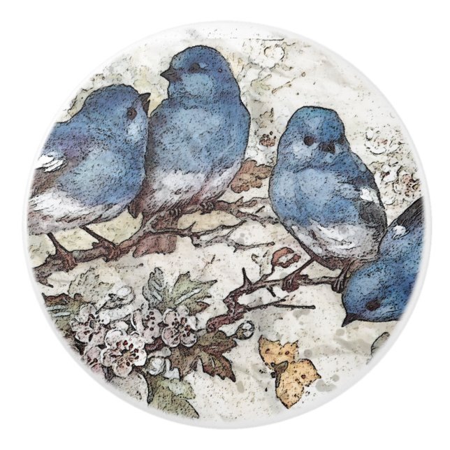 Vintage bluebird illustration cute birds nature ceramic knob (Front)