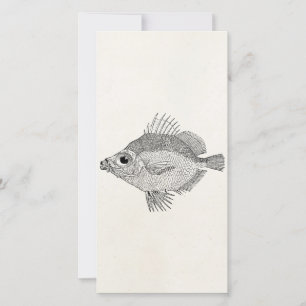 Vintage Boar Fish - Aquatic Fishes Template Blank