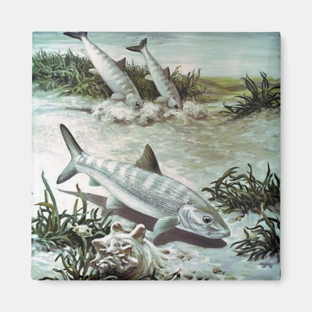 Vintage Bonefish Underwater Scene Magnet (Front)