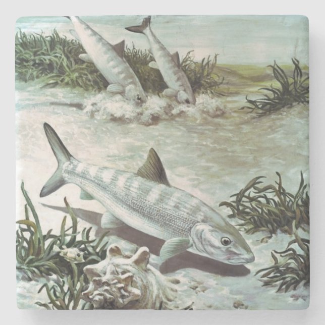 Vintage Bonefish Underwater Scene Stone Coaster (Front)