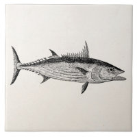 Vintage Bonito Fish - Aquatic Fishes Template