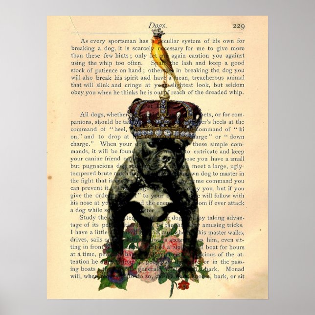Vintage Book Page Bulldog King Poster (Front)