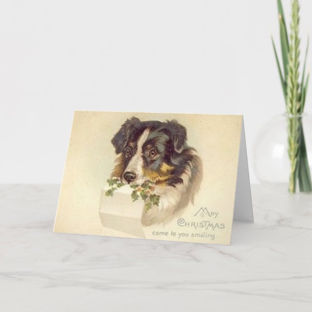 Vintage Border Collie Christmas Card (Front)